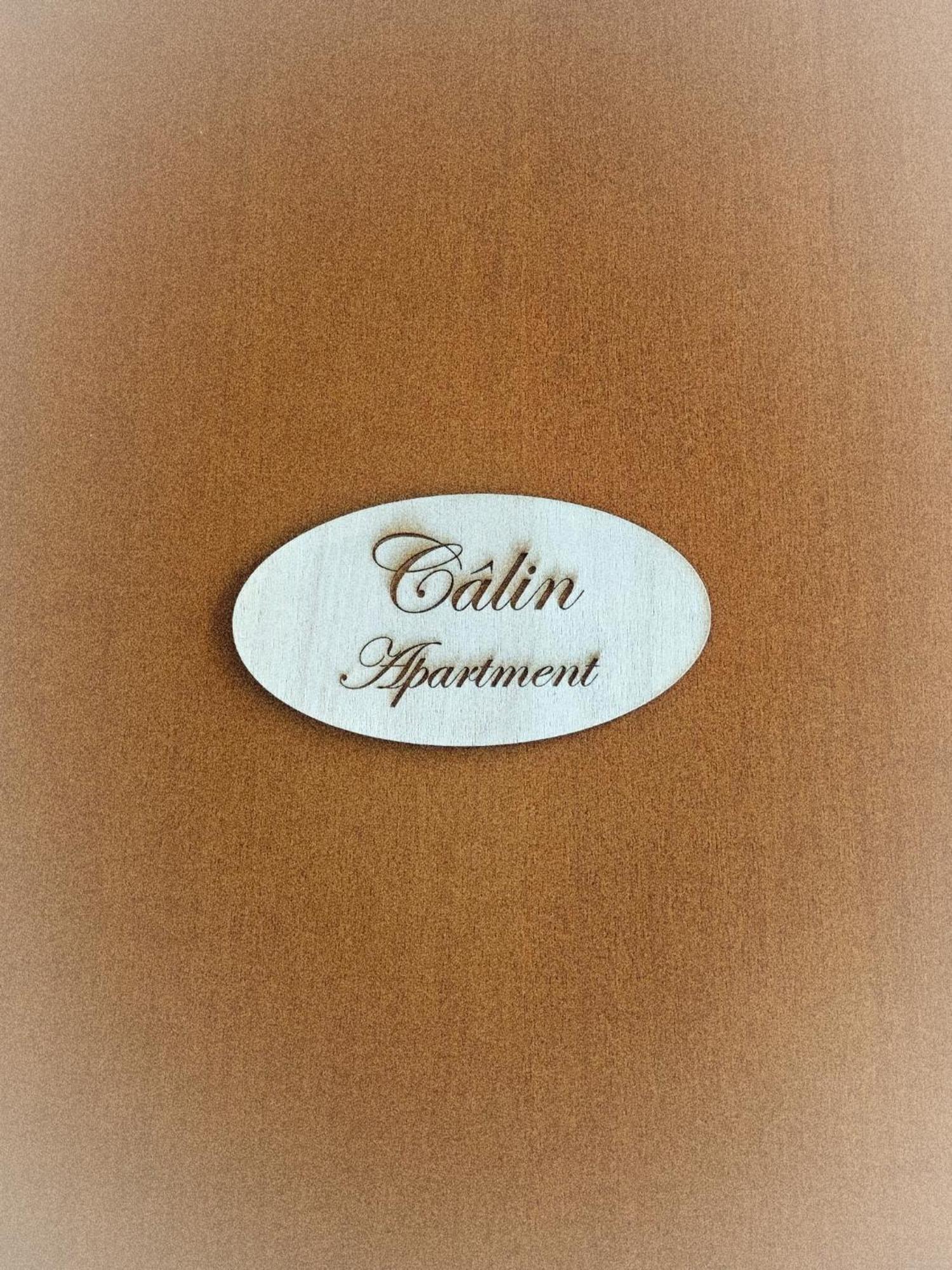 Calin Apartment Turin Ngoại thất bức ảnh