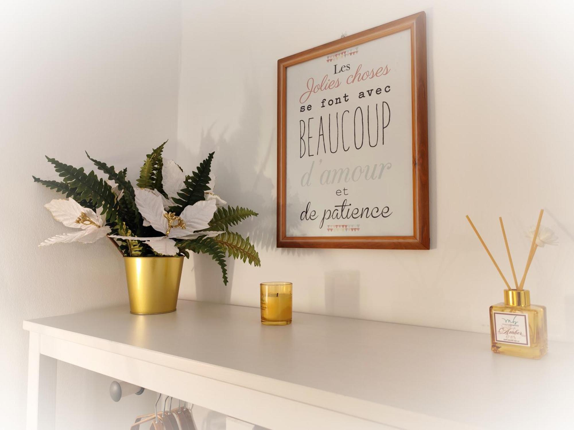 Calin Apartment Turin Ngoại thất bức ảnh
